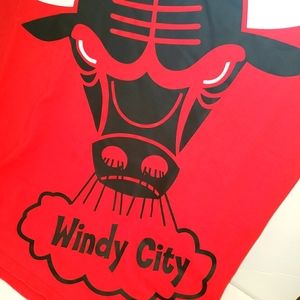 CHICAGO BULLS HEAVYWEIGHT TEE BY MITCHELL & NESS...LARGE LOGO